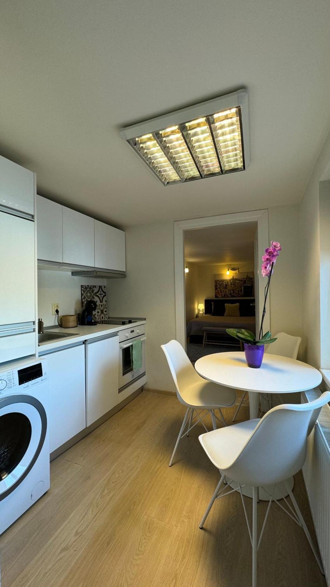 Elite Residence Timisoara Exterior photo